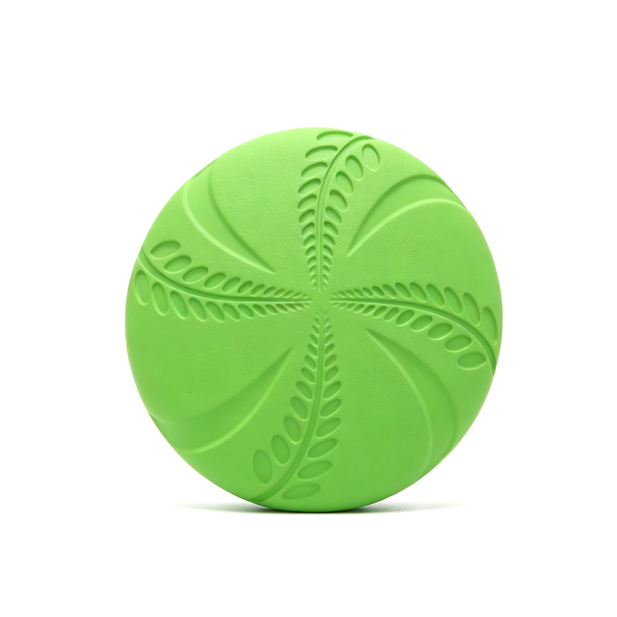 Dog Flying Disc Toy