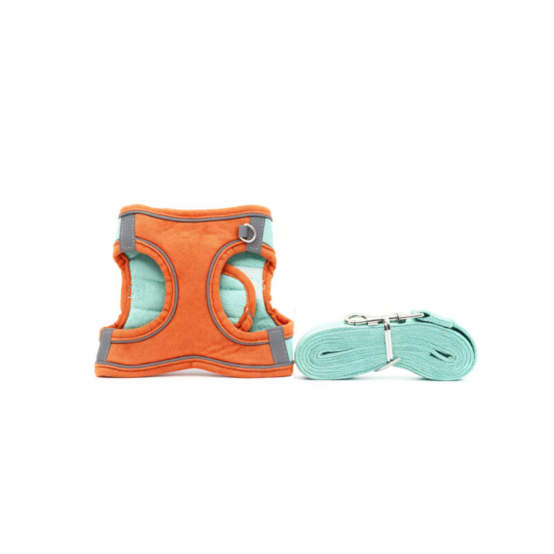 Pet Harness Set