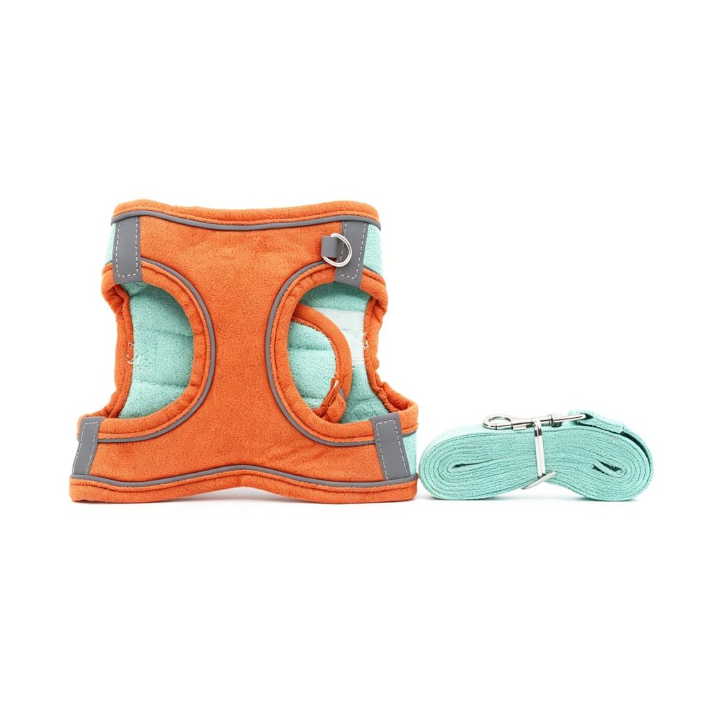 Adjustable Pet Harness and Leash Set