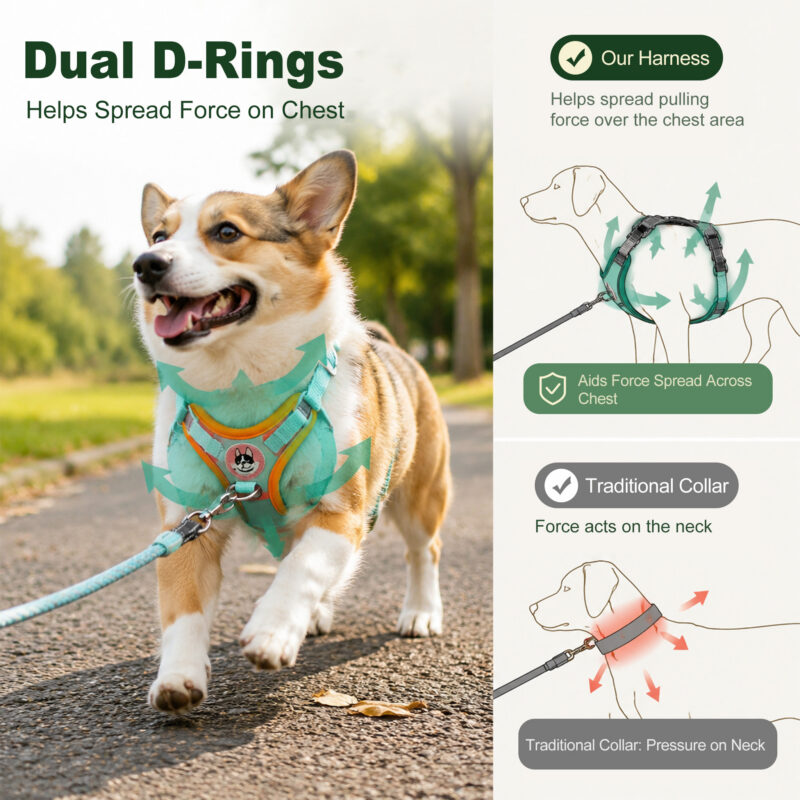 主图3 拷贝 Pet Vest Harness