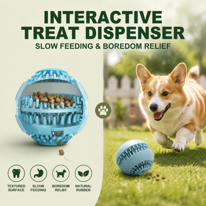 主图4 拷贝 Dog Dental Chew Toy